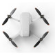 Квадрокоптер DJI Mini 2 (CP.MA.00000312.03)
