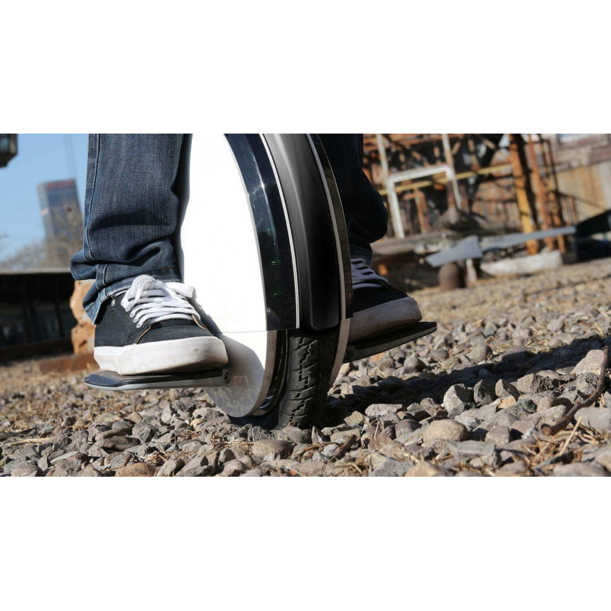 Моноколісо Ninebot by Segway One S2