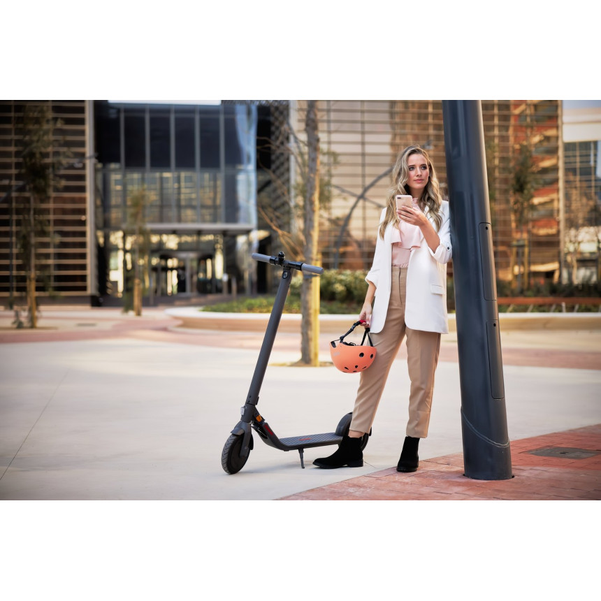 Електросамокат Ninebot by Segway E22E